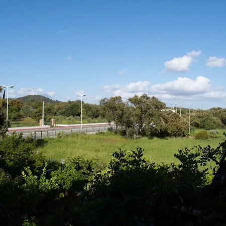 Flat In The Heart Of Algarve Appartement