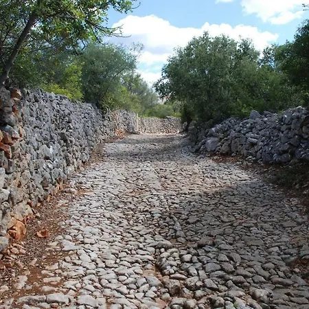 Διαμέρισμα Flat In The Heart Of Algarve São Brás de Alportel