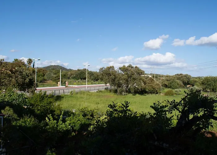 Flat In The Heart Of Algarve Daire